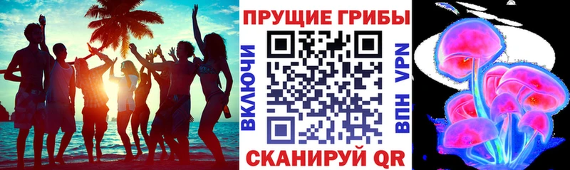 Псилоцибиновые грибы Cubensis Сычёвка